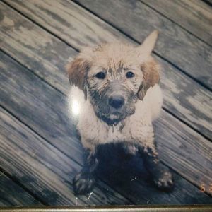 Meet your Posher, Karalee